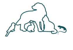 Dublin Veterinary Hospital